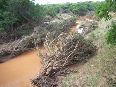 Foto: Jos� Ponciano Neto